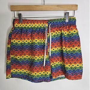 EVOLVE Lined Swimsuit Trunks Size Large Swim Colorful Rainbow Lightweight Lined